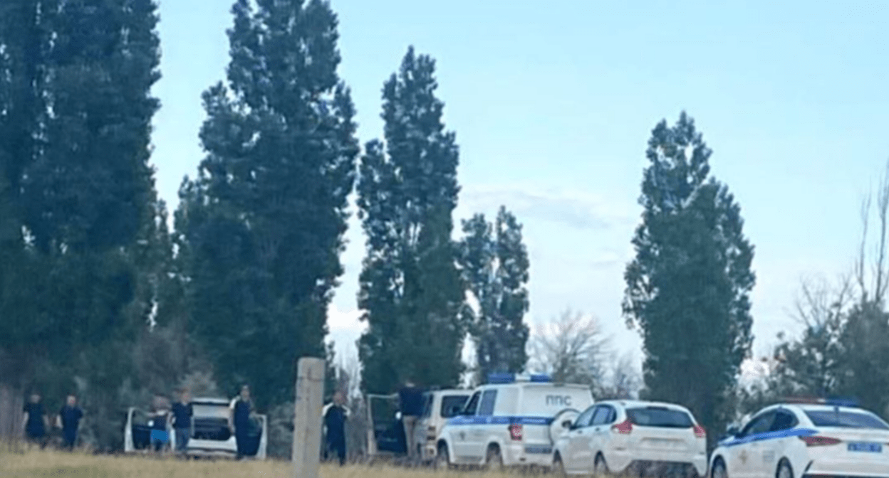 Силовики у лесополосы. Скриншот фото из Telegram-канала "Жесть. Камышин" от 08.06.25, https://t.me/zhestkamyshin/18897