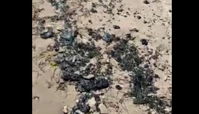 Новые выбросы мазута в Темрюкском районе. Стоп-кадр видео от 19.07.25, https://t.me/razlivnasvyazi/126779/301493.