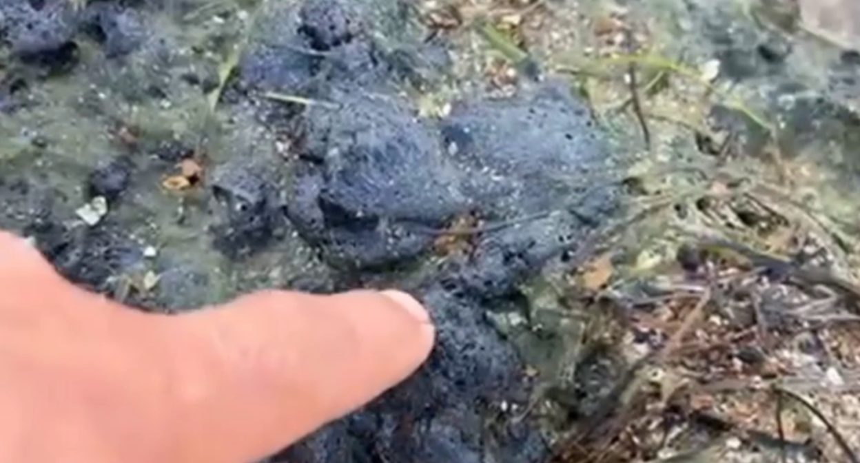 Волонтер показывает выбросы мазута на побережье. Стоп-кадр видео из Telegram-канала штаба "Дельфины" от 23.08.25, https://t.me/shtab_delfin/1077