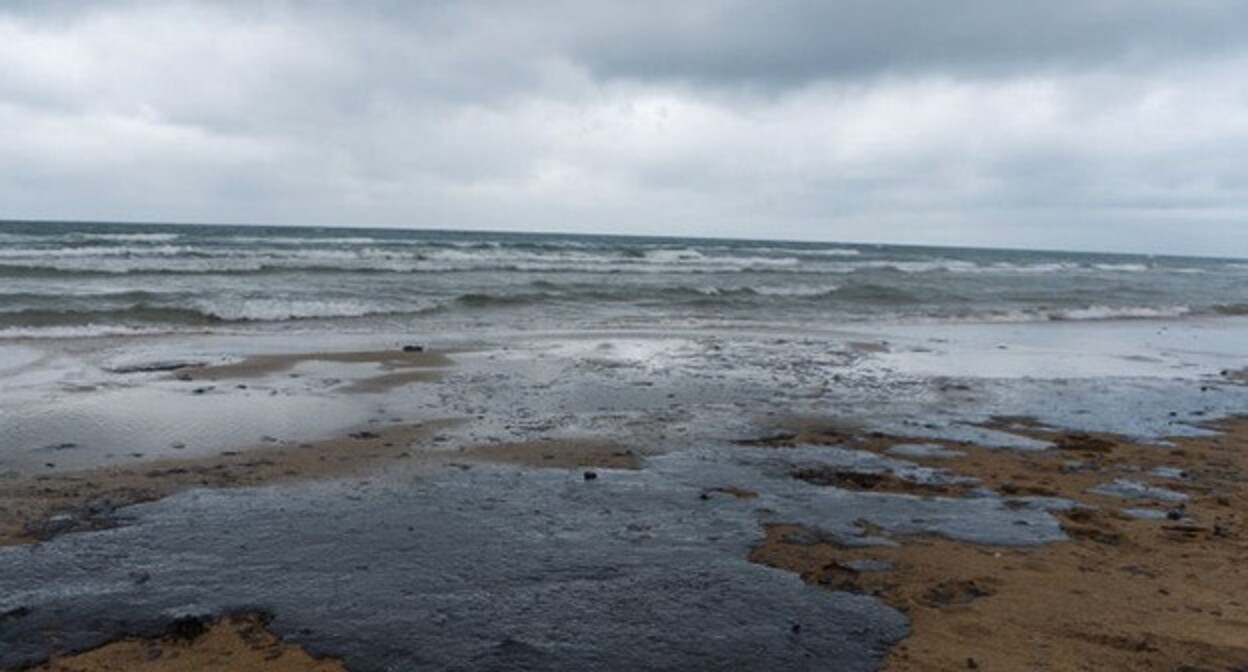 Мазут на побережье. Фото Полины Безверхой, "Юга.ру"