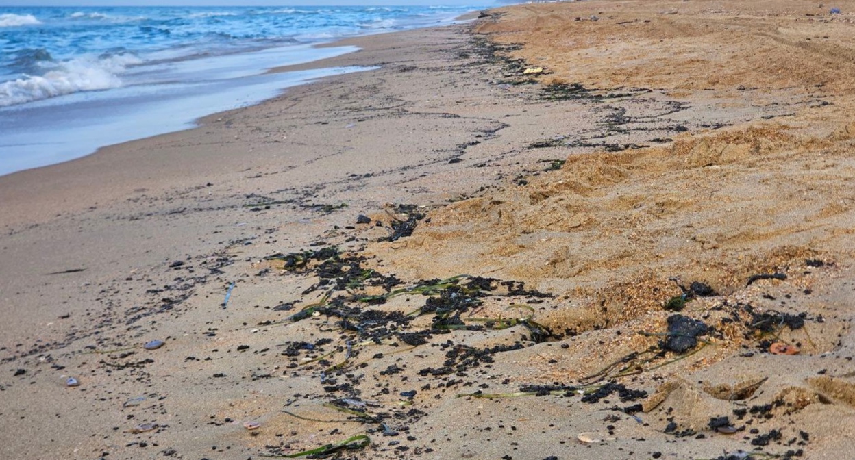 Выбросы мазута на берегу. Анапа, 24 октября 2025 года. Фото Юрия Озаровского https://t.me/MoreOz/108604