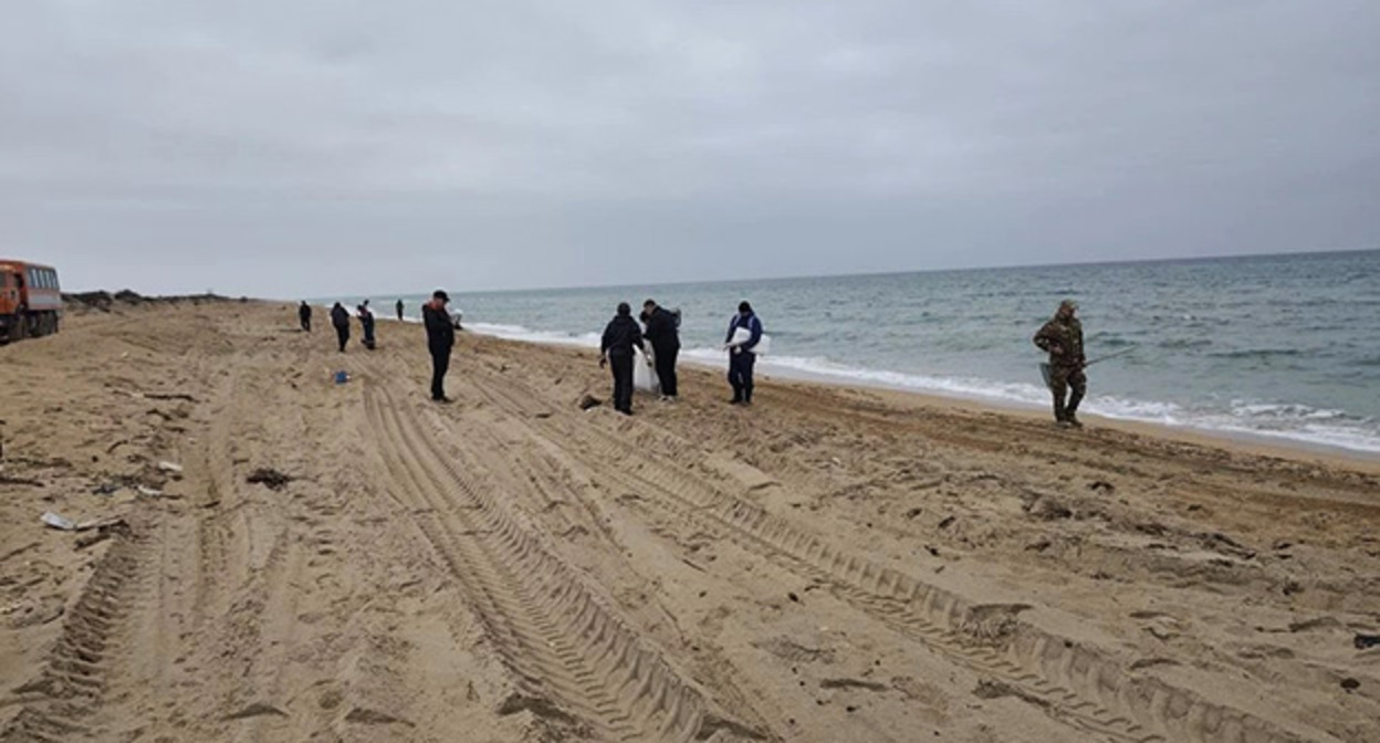 Пляж в Темрюкской районе. 16 ноября 2025 г. Фото: https://t.me/opershtab23/14441