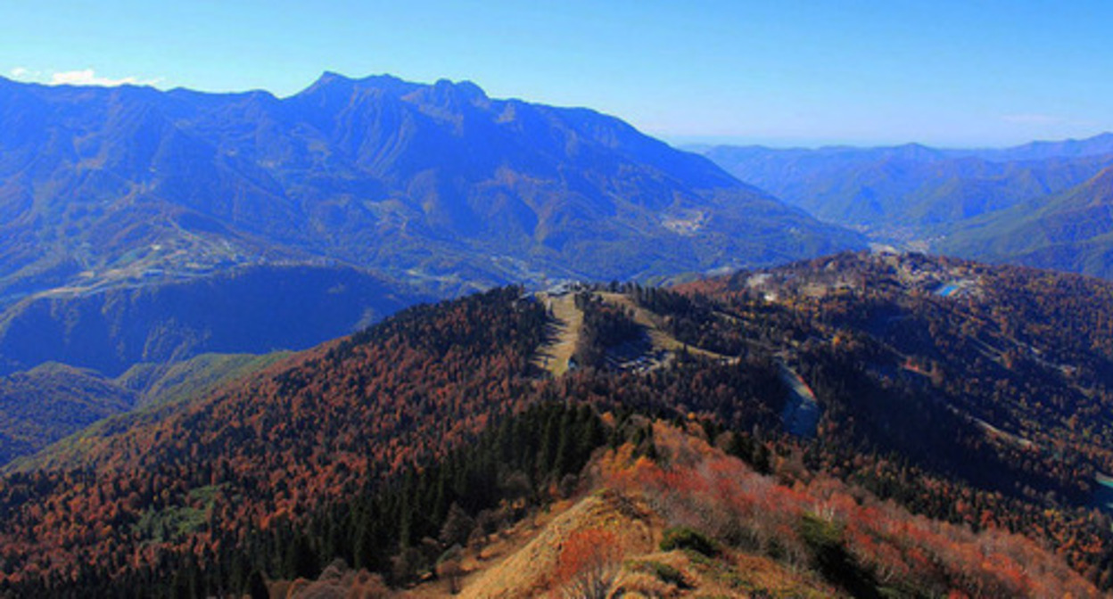 Sochi National Park. Photo: SKas https://ru.wikipedia.org/