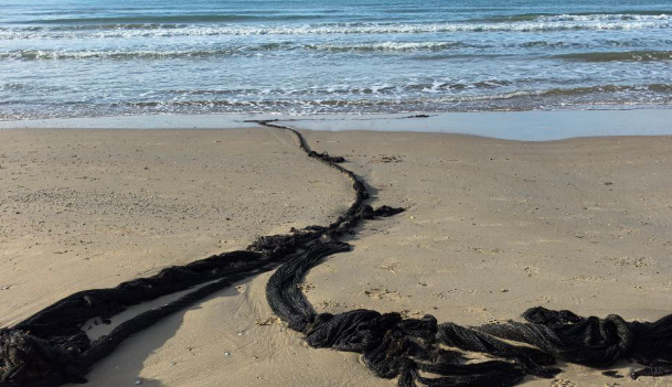 Оставшиеся на берегу сети. Скриншот фото  из Telegram-канала Макса Анапского от 06.01.26, https://t.me/maksanapskii/14923.