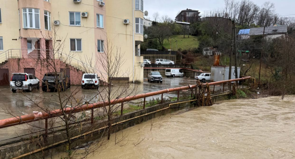 Уровень воды в реке Херота. Скриншот фото из Telegram-канала Андрея Прошунина от 08.02.26, https://t.me/agproshunin/3439.