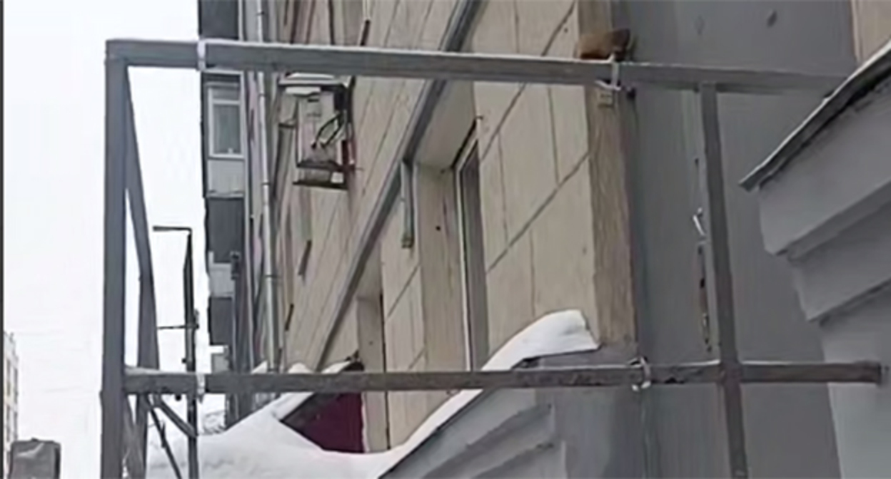 Временная табличка на доме Политковской сорвана. 12 февраля 2026 г. Скриншот видео  https://t.me/rusnews/80316