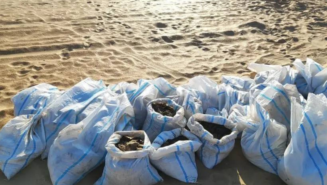 Собранные мешки с мазутом. Скриншот фото "Добровольцы ССЛ" от 14.03.26, https://t.me/setisitolopata/2695