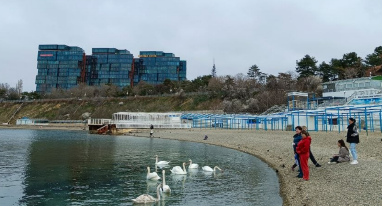 Пляж "Высокий берег". Скриншот фото Юрия Озаровского от 25.03.26, https://t.me/MoreOz/119508?single