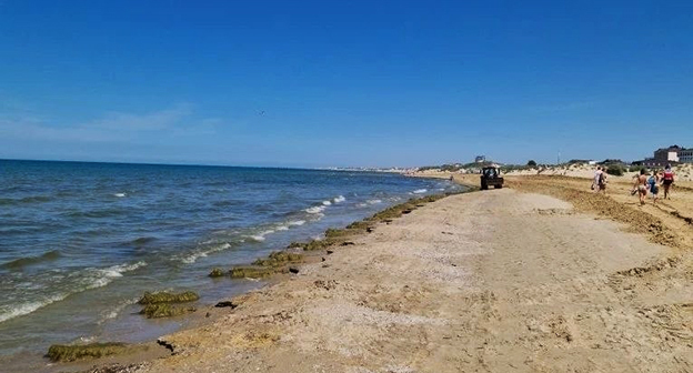 Пляж в Анапе. Фото: Юрия Озаровского https://vk.com/seaoz