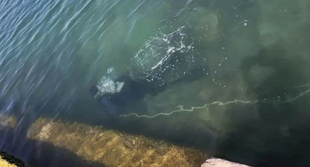 Водолазы осматривают дно моря возле поселка Дедеркой. Фото: "Кубань-СПАС" Водолазы осматривают дно моря возле поселка Дедеркой. Фото: "Кубань-СПАС"