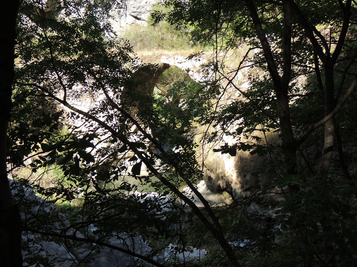 Вид на мост сквозь ветки деревьев. Вид на мост сквозь ветки деревьев.