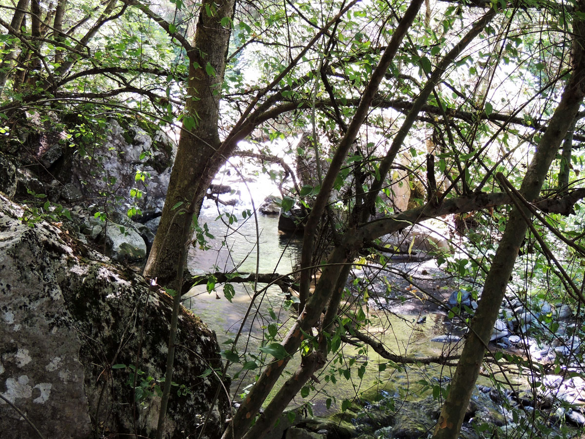 р.Шушинка, вид с обрыва. р.Шушинка, вид с обрыва.