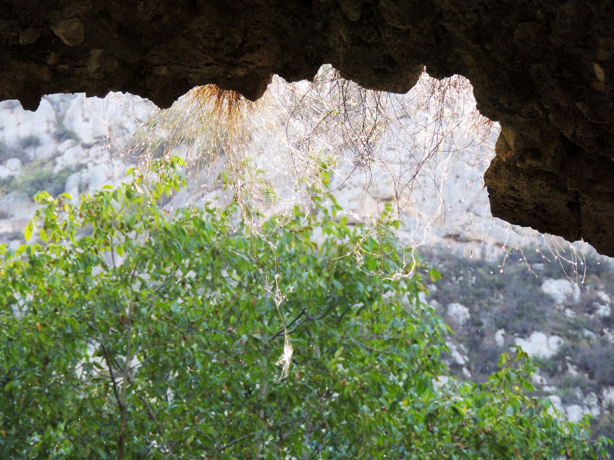 Паутина под мостом. Паутина под мостом.