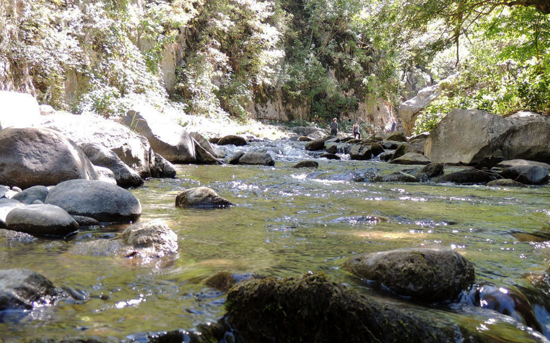 Для речки здесь раздолье.... Для речки здесь раздолье....