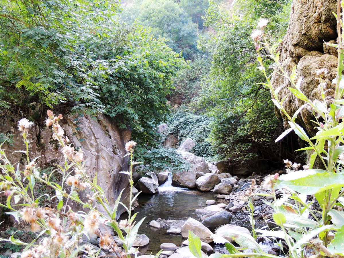 Из-за поворота... Из-за поворота...