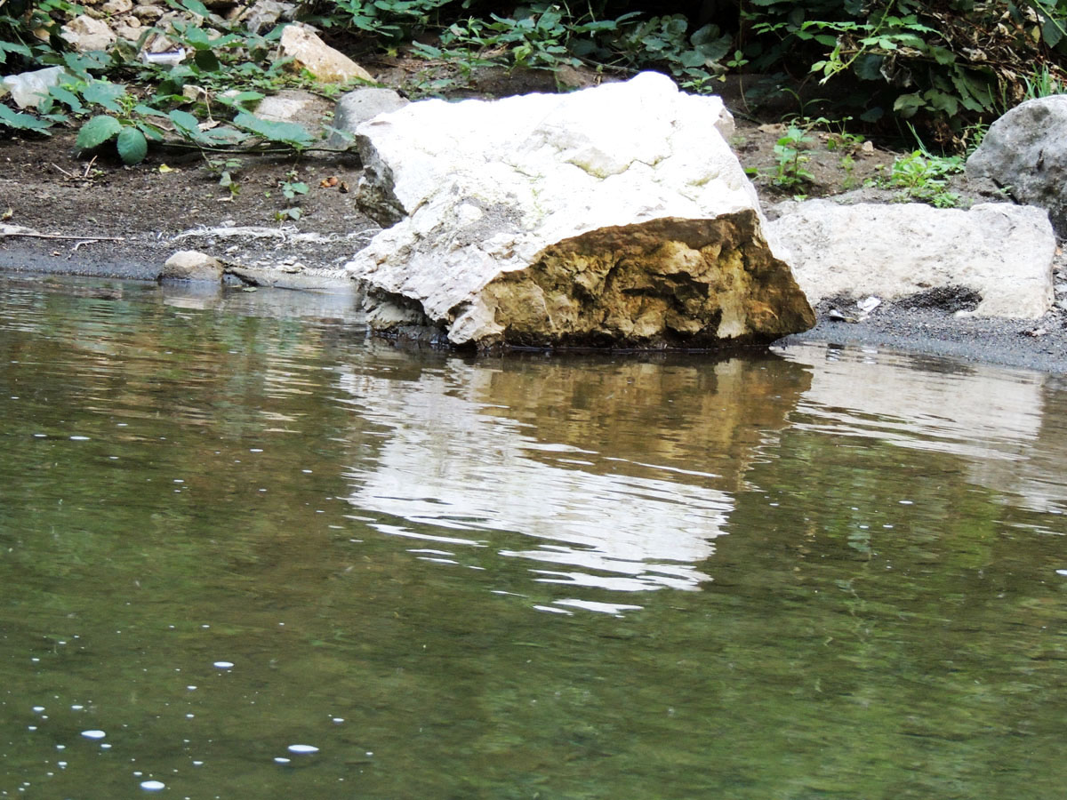 Отражение... Отражение...