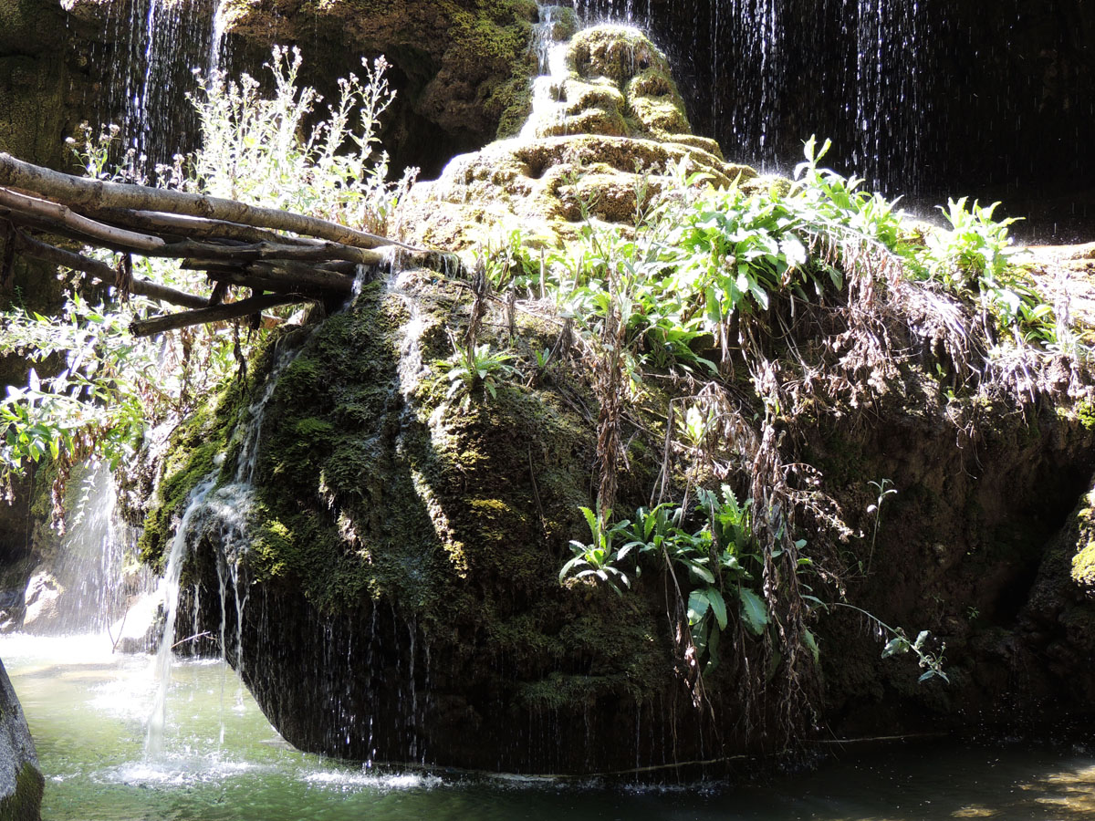 Вода с "зонтика" ("моховый камень) течёт в речку. Вода с "зонтика" ("моховый камень) течёт в речку.