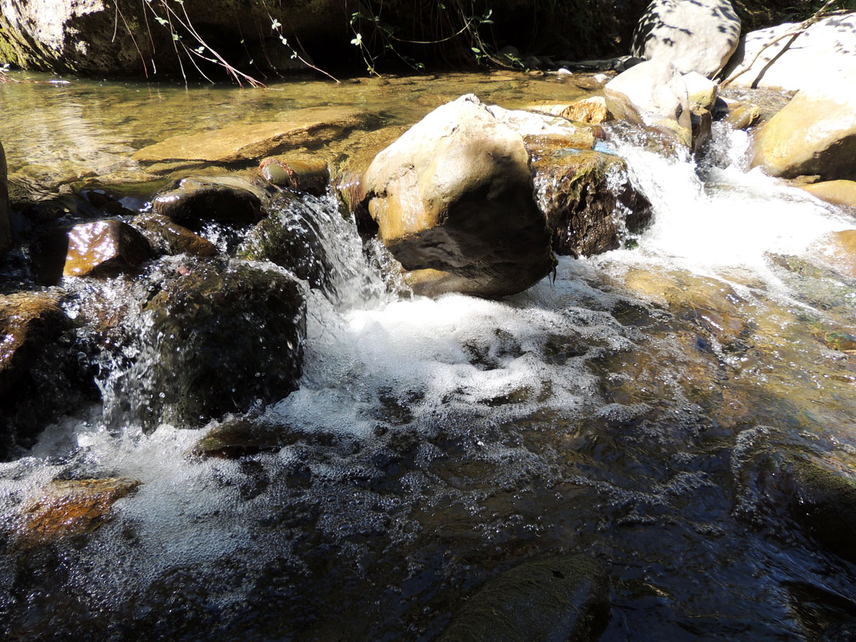 ... и потом, разгоняясь, течёт вниз, к мосту... ... и потом, разгоняясь, течёт вниз, к мосту...