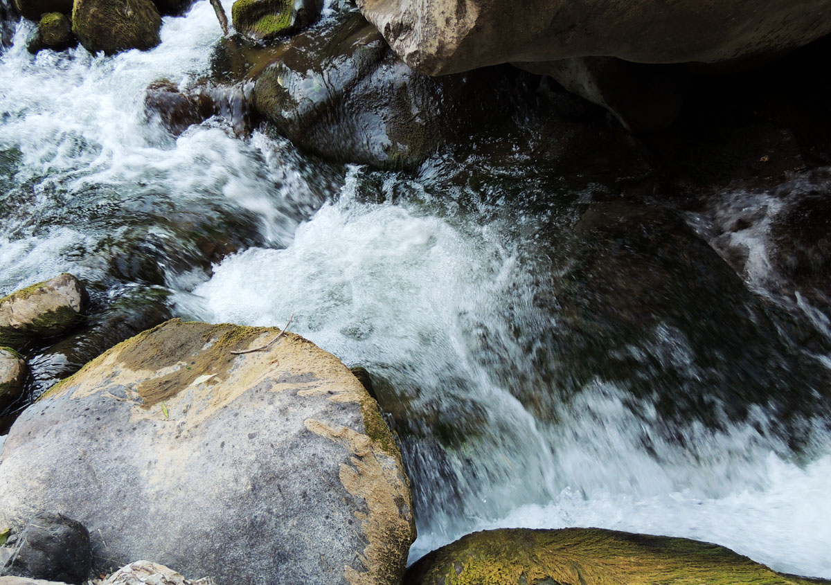В этом месте Шушинке очень тесно, что вызывает в ней законное недовольство.) В этом месте Шушинке очень тесно, что вызывает в ней законное недовольство.)
