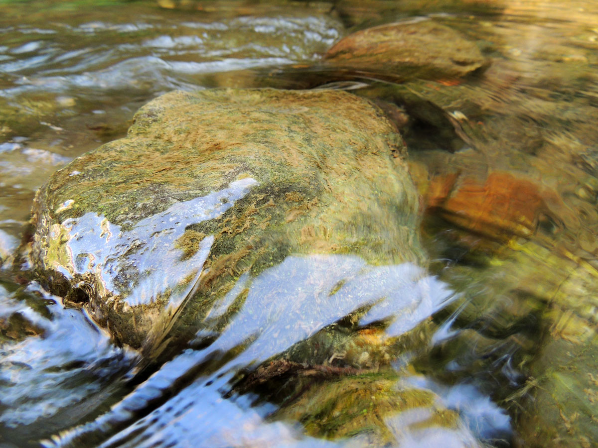 Вода ласкает камень... Вода ласкает камень...