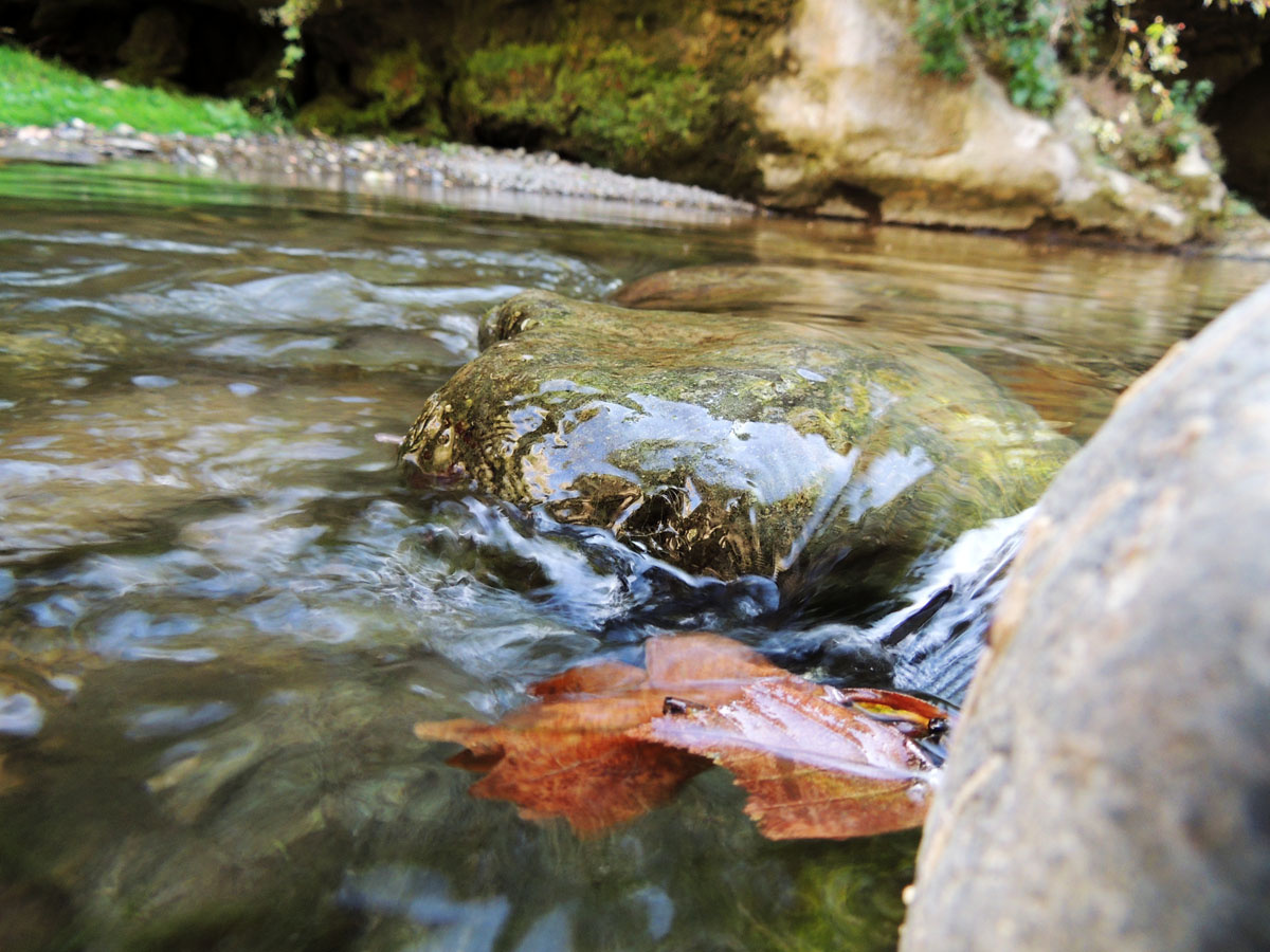 Осенний лист застрял между камнями. Осенний лист застрял между камнями.