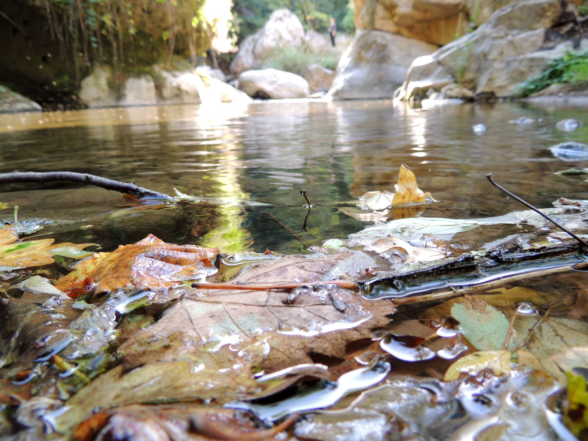 Небольшая заводь... Небольшая заводь...