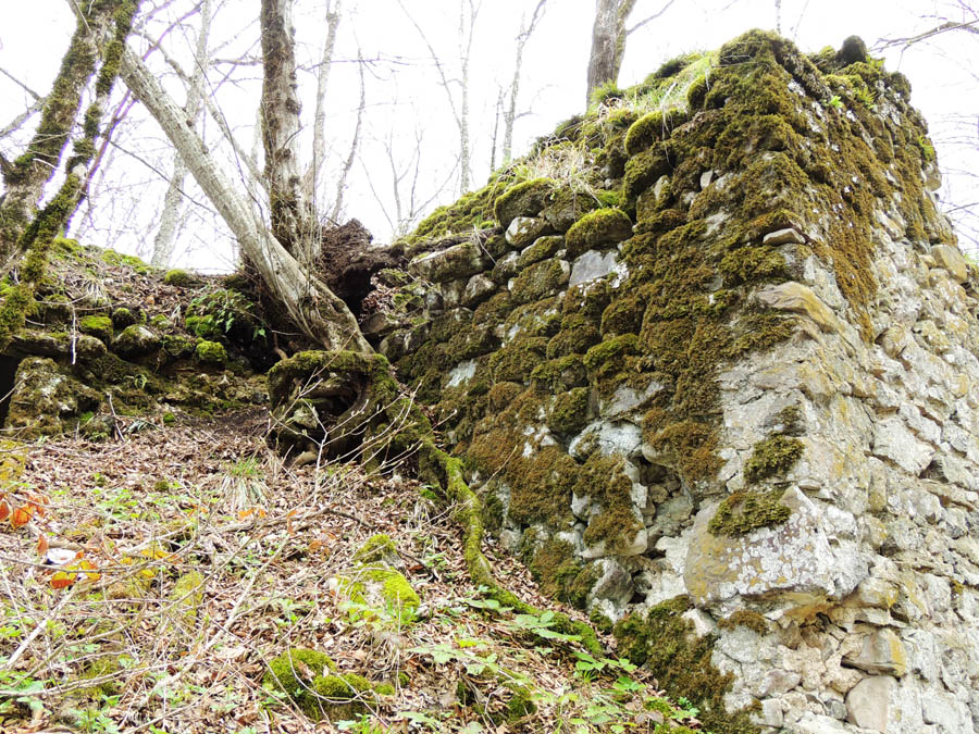 Развалины монастырского комплекса "Охты ехцы". Развалины монастырского комплекса "Охты ехцы".