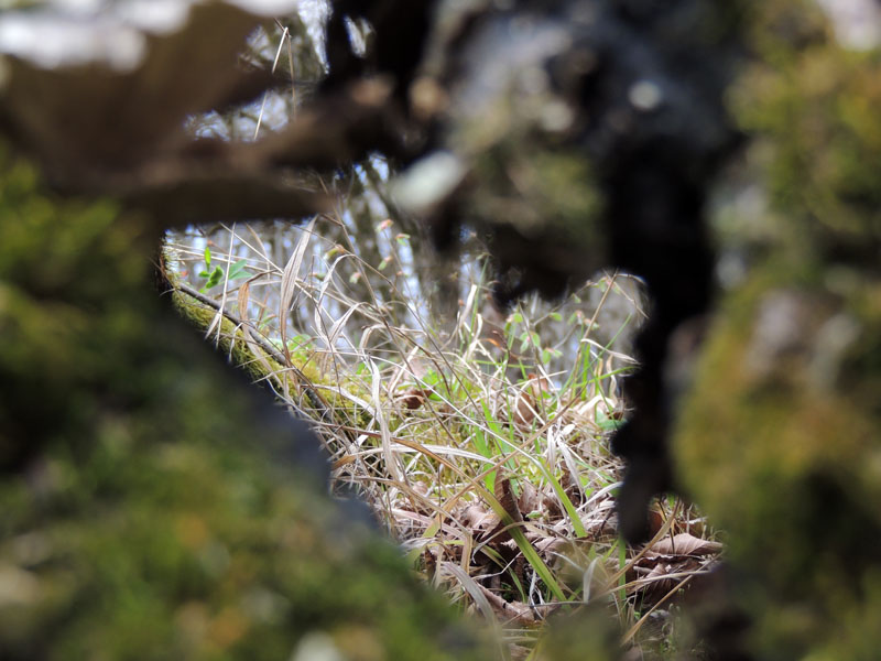 "Замочная скважина". "Замочная скважина".