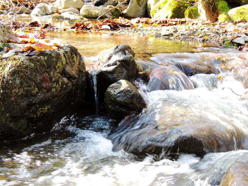 Речка Гарнакар. На пути воды небольшие валуны.