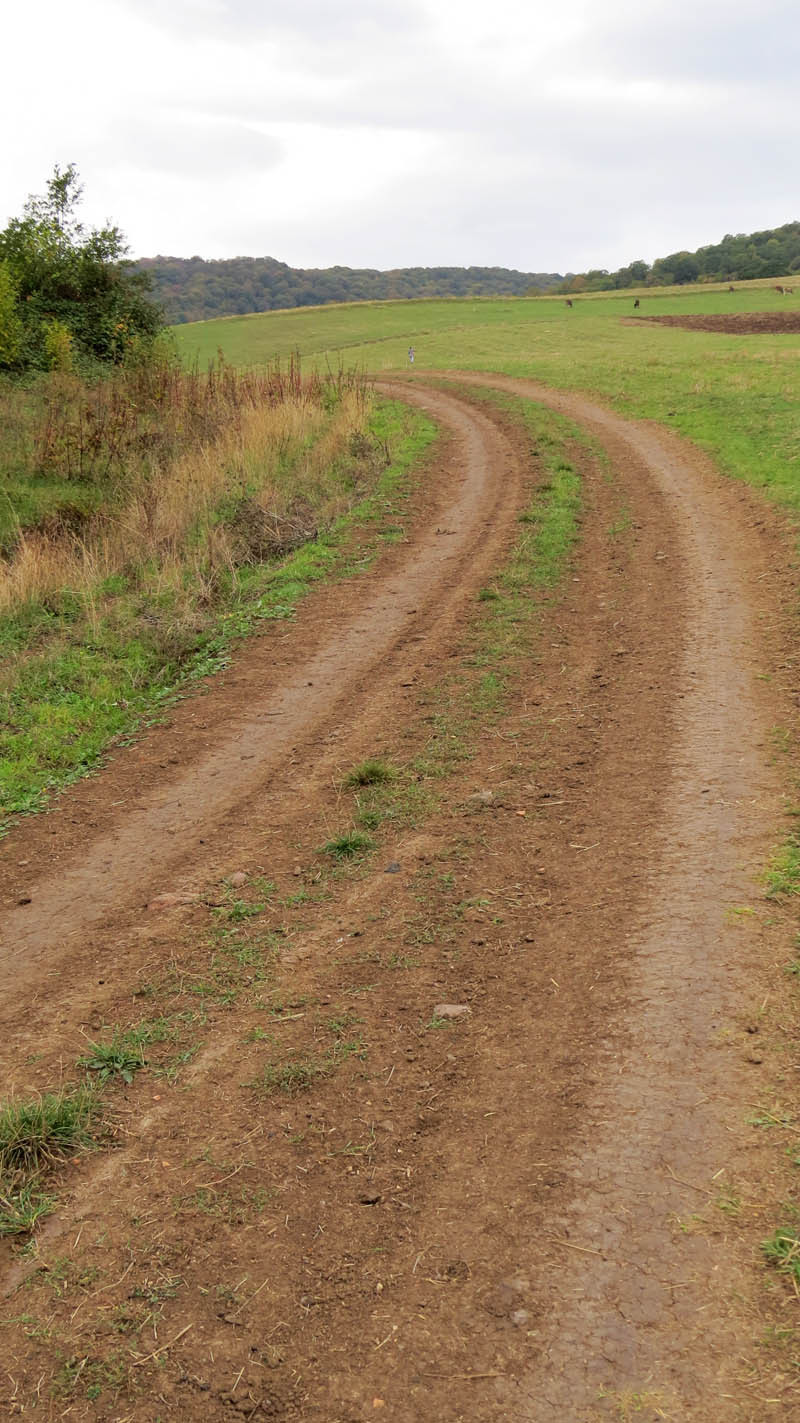 Какая-та часть дороги после села была просёлочной. Люблю такие такие участки дорого, когда не знаешь, что тебя ждёт за поворотом.... Какая-та часть дороги после села была просёлочной. Люблю такие такие участки дорого, когда не знаешь, что тебя ждёт за поворотом....