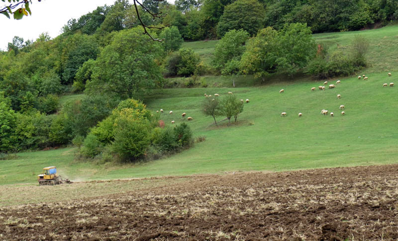 Вдалеке был виден трактор, который плугом бороздил поле. Вдалеке был виден трактор, который плугом бороздил поле.