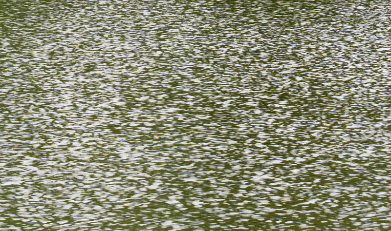 Небольшая рябь на воде. Небольшая рябь на воде.