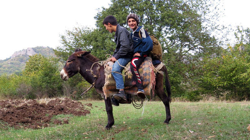 Гургенчик и Гарик ждут друзей, чтобы пойти в поход на осликах.