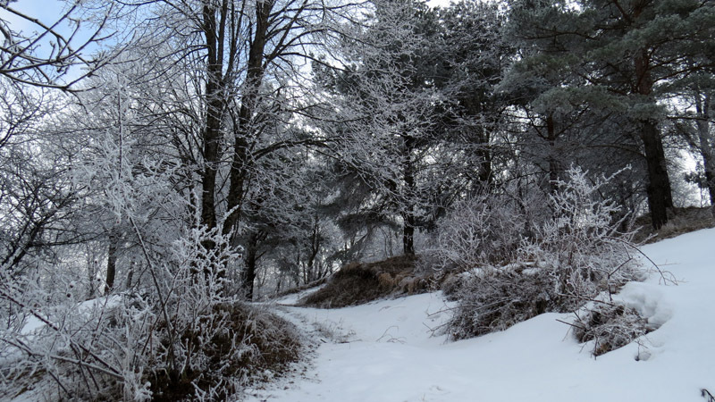 Не знаешь, что там, за поворотом...