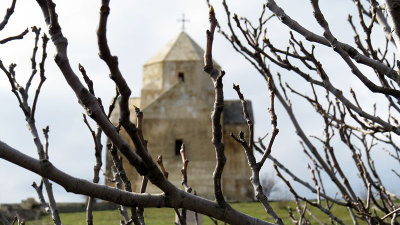 Церковь Ванкасар 6-7 вв.  сквозь ветки дерева. Использована макросъёмка.