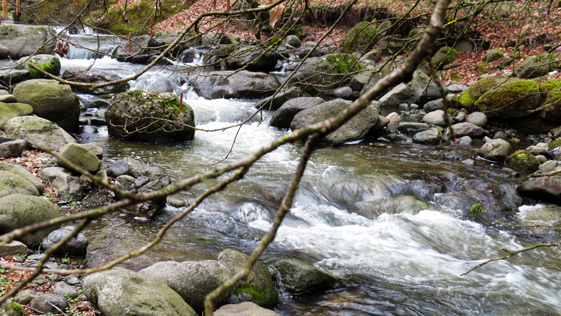 Речка. Речка.