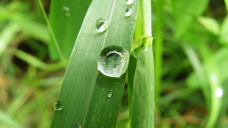 Капля в падении. Капля в падении.
