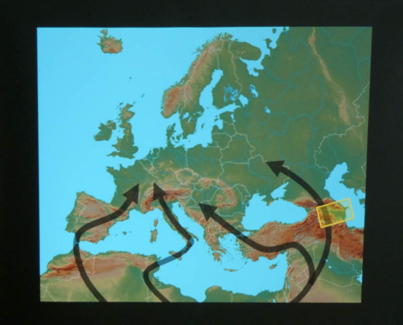 Слайд, показанный на презентации книги 6. Слайд, показанный на презентации книги 6.