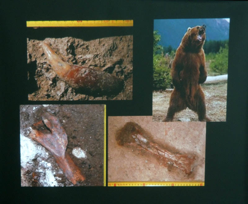 Слайд, показанный на презентации книги 7. Слайд, показанный на презентации книги 7.