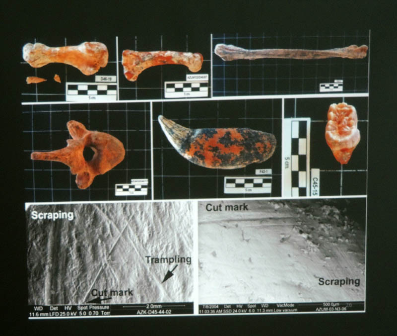 Слайд, показанный на презентации книги 8. Слайд, показанный на презентации книги 8.