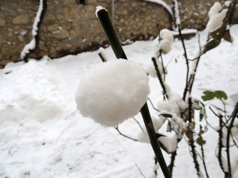 Зимний день 14. Зимний день 14.