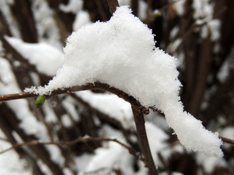 Зимний день 18. Зимний день 18.