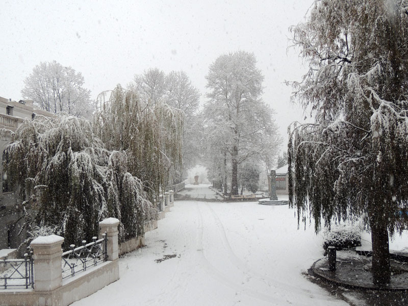 Виртуальная выставка, январь - 4. Виртуальная выставка, январь - 4.