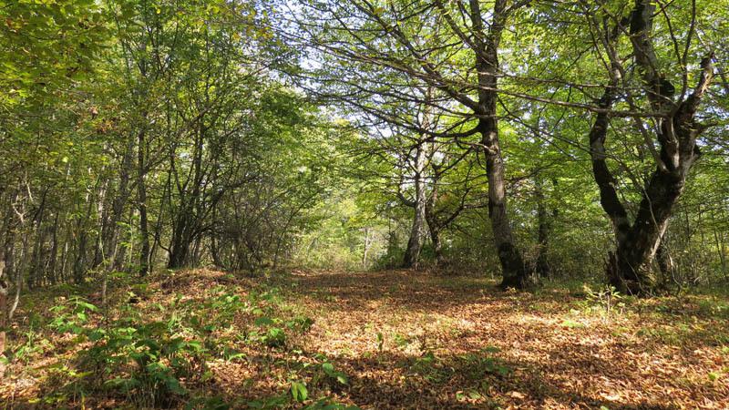 Дорога чуть выровнялась, но я не сразу понял, что, через каких-то 40 секунд передо мной откроется таинственный монастырь...