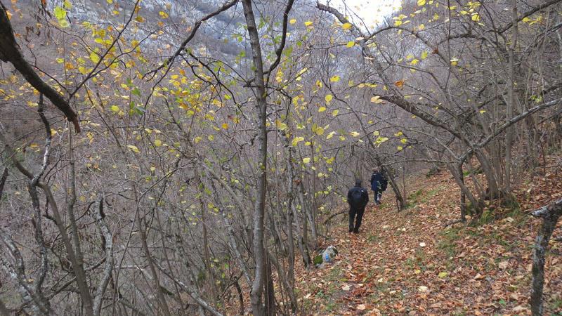  До "Зонтиков" осталось совсем немного.