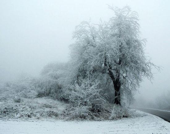 Фотовыставка (декабрь) - 1. Фотовыставка (декабрь) - 1.